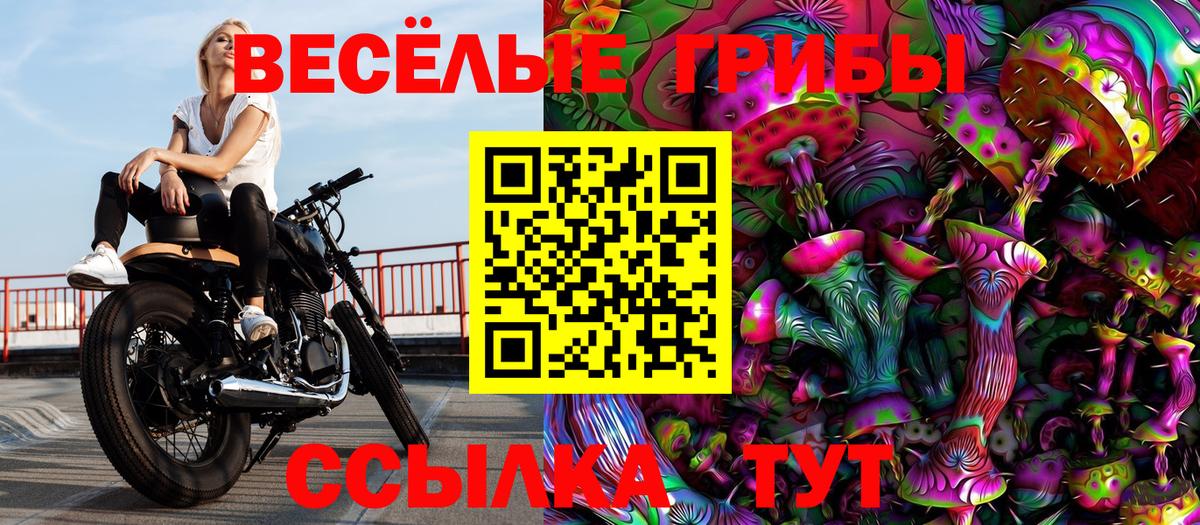 Галлюциногенные грибы Psilocybe Воронеж