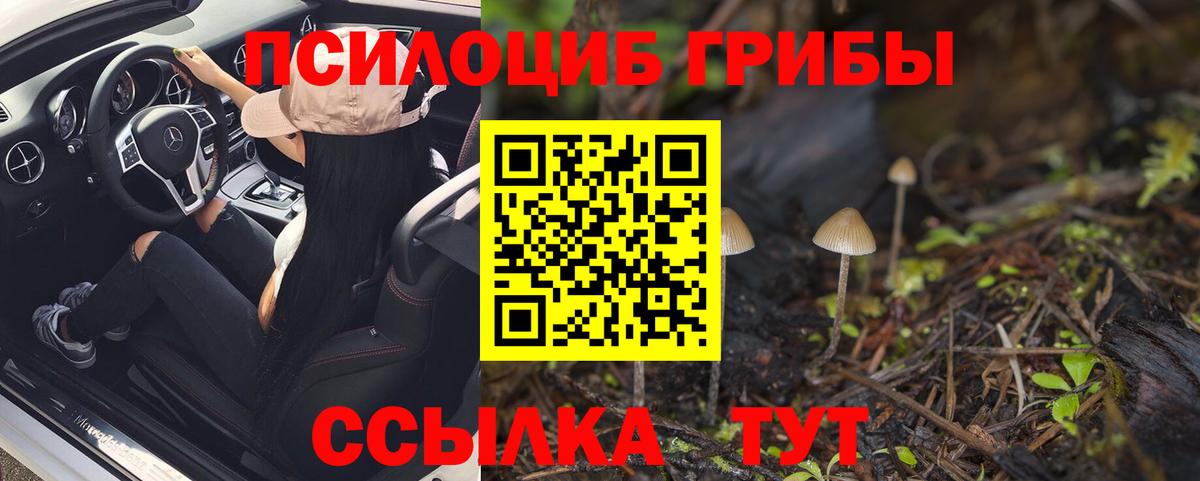 Воронеж  Галлюциногенные грибы Magic Shrooms  Вход с VPN 